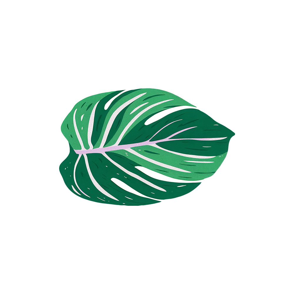 Animal & Plant Printed Bathroom Coil Mats